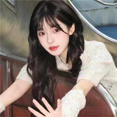 孤狼之血2